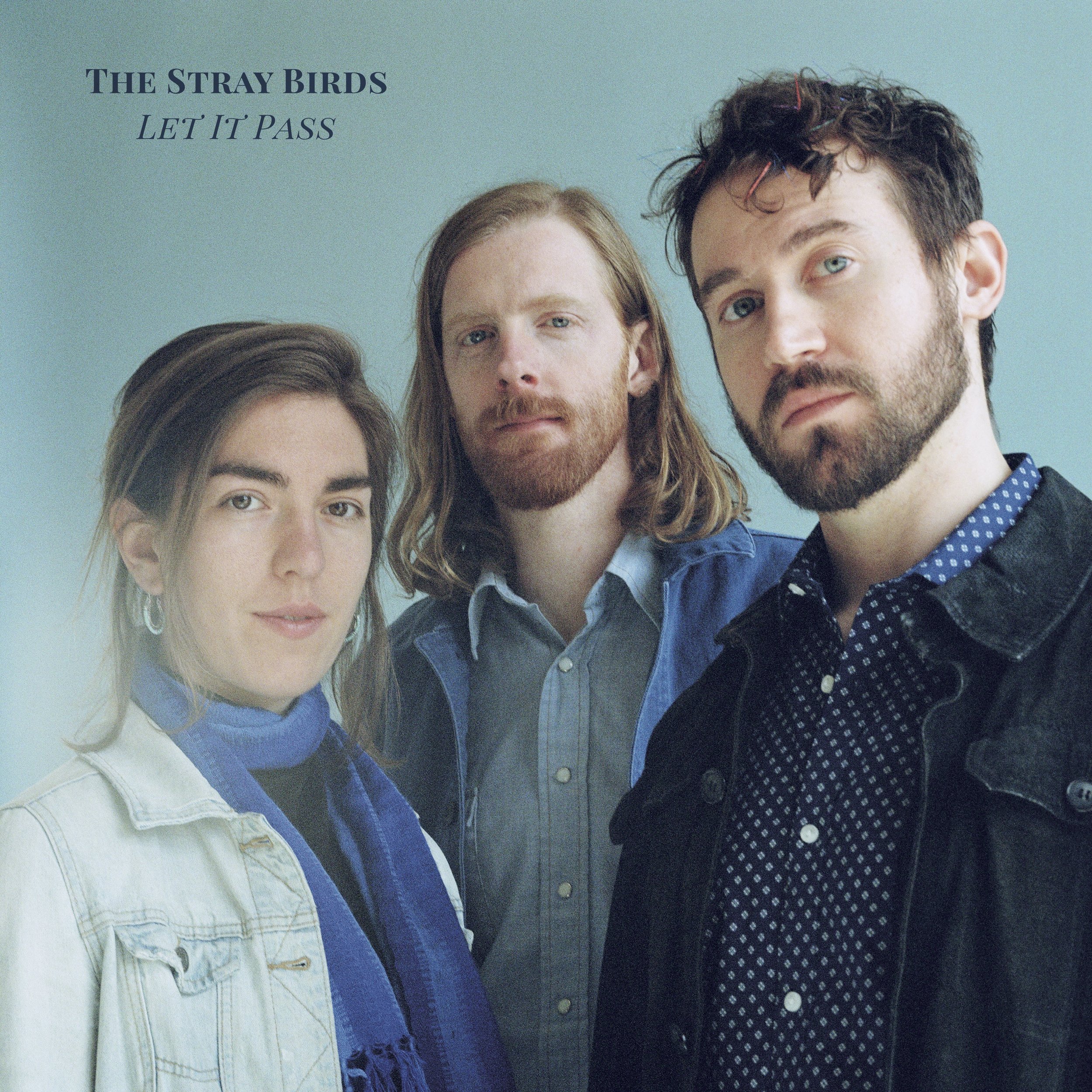 TheStrayBirds_LetItPass_7MB copy.jpg